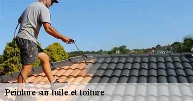 peinture-sur-tuile-et-toiture